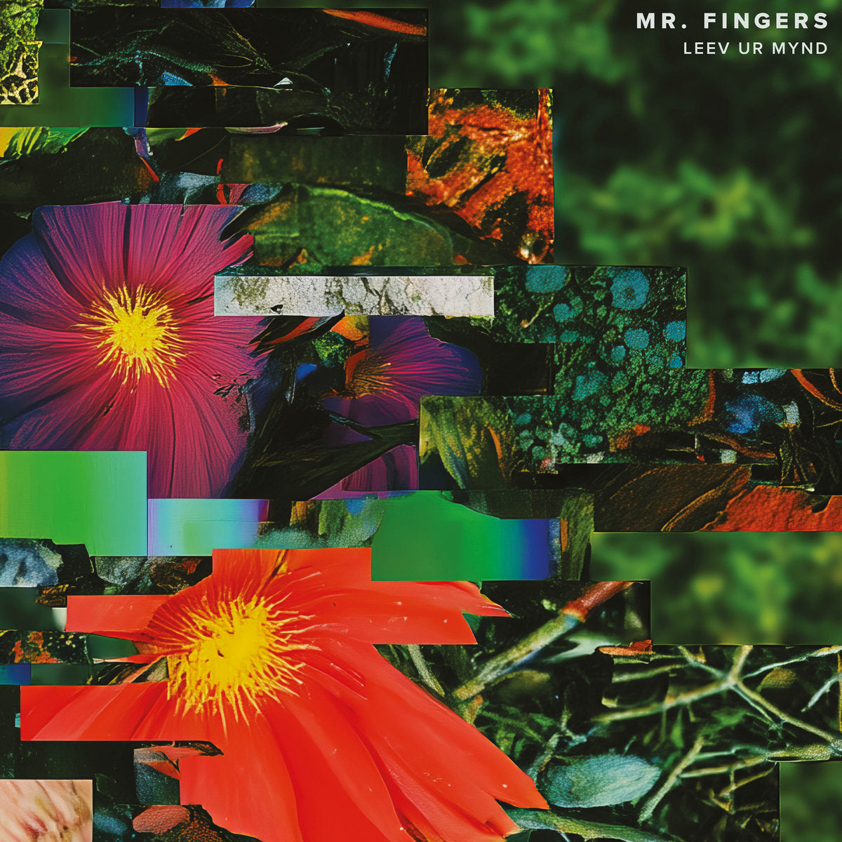 Mr. Fingers – Leev Ur Mynd [Alleviated Records] ML 9020