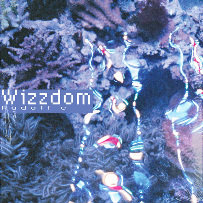 Rudolf C - Wizzdom [Felt Sense] FLTSNS013