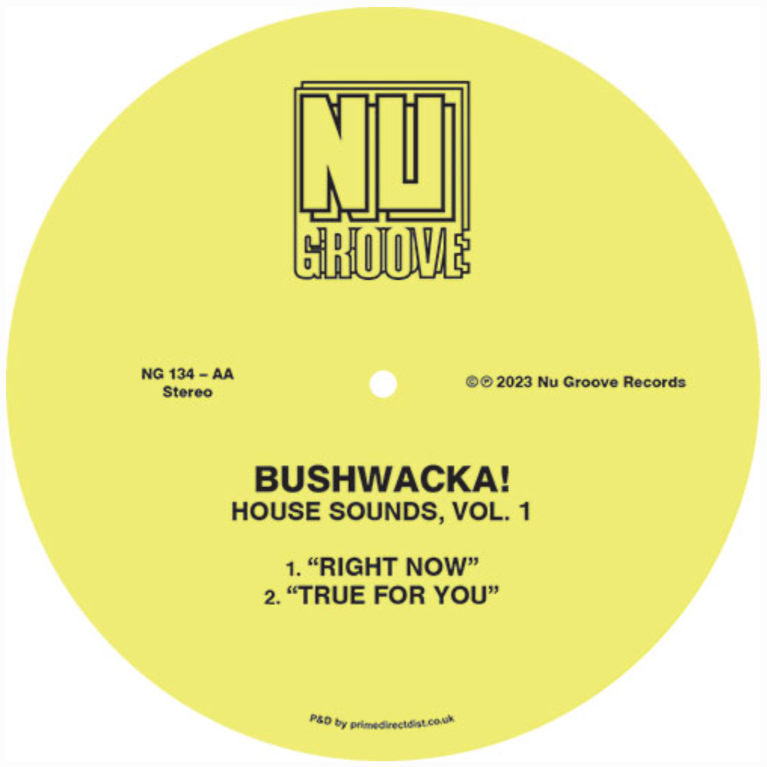 Bushwacka! - House Sounds Vol. 1 [Nu Groove] NG134