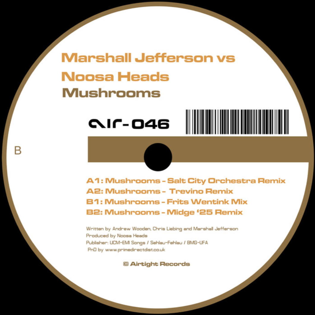 Marshall Jefferson Vs. Noosa Heads - Mushrooms [Airtight] AIR046